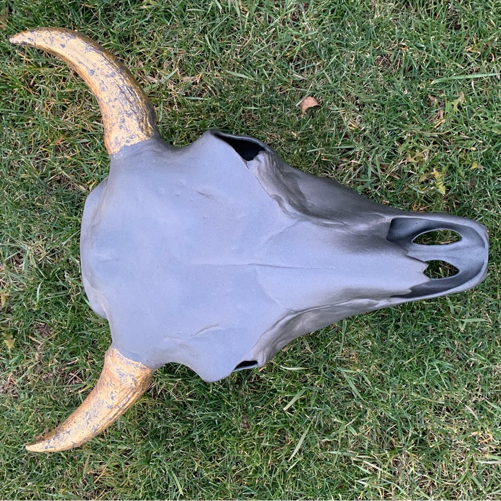 Ceramic Buffalo skull hand painted